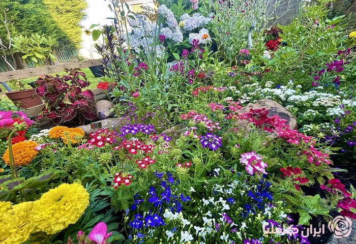 اجرای محوطه سازی ویلا